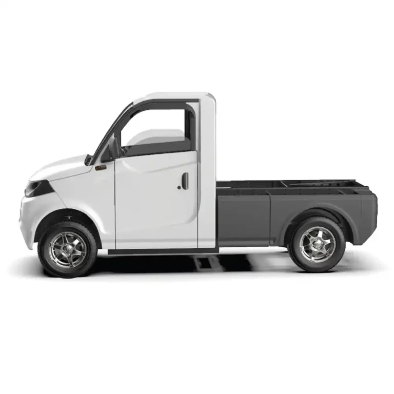 P-1000 Chassis (EEC)