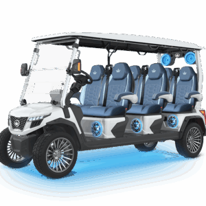 D6-MAX GT6